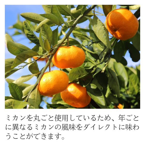 あおしまみかんジュース【数量限定～なくなり次第終了】 | 三ヶ日