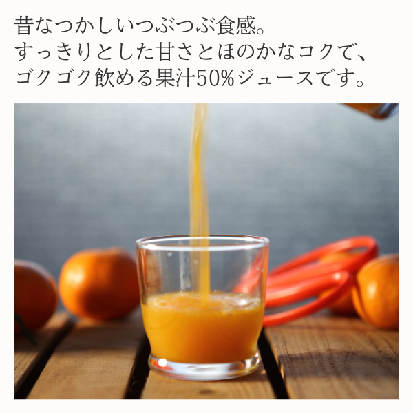 三ヶ日みかん粒入りドリンク | 三ヶ日みかんの通販・ギフト購入ならJA