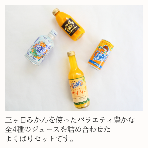 みっかびジュースセレクト4種【順次発送～なくなり次第終了】 | 三ヶ日