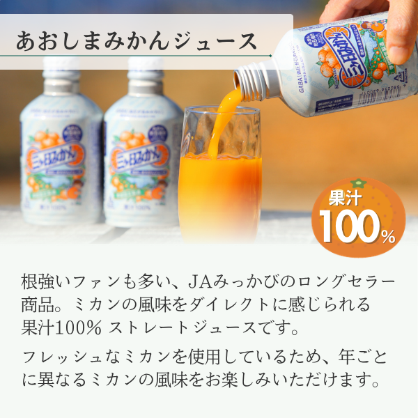 みっかびジュースセレクト4種【順次発送～なくなり次第終了】 | 三ヶ日