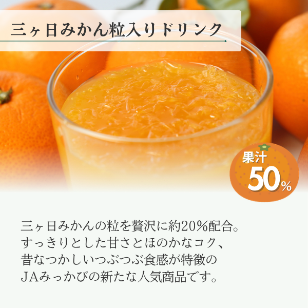 みっかびジュースセレクト4種【順次発送～なくなり次第終了】 | 三ヶ日