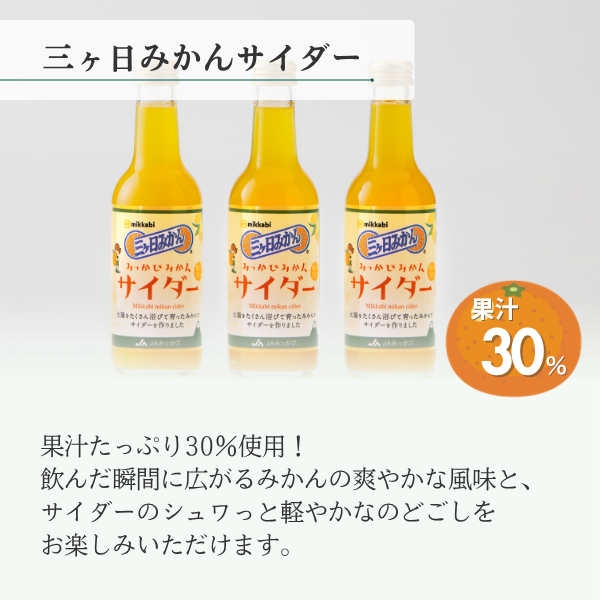 まーーみ専用出品 アマノ（AMANO）公式オンラインショップ -MZ－30用 一次フィルター