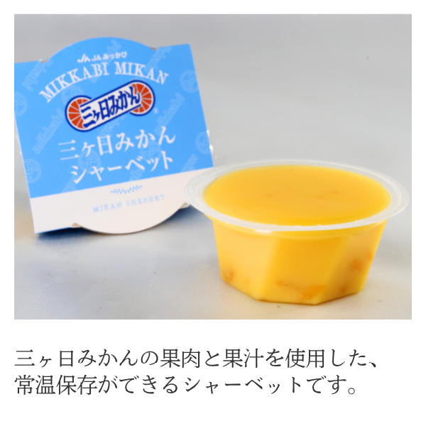 三ヶ日みかんシャーベット | 三ヶ日みかんの通販・ギフト購入ならJA