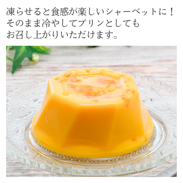三ヶ日みかんシャーベット | 三ヶ日みかんの通販・ギフト購入ならJA