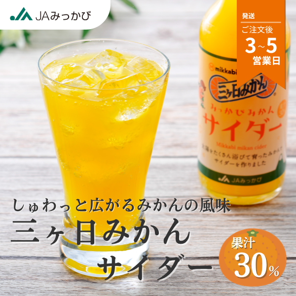 三ヶ日みかんサイダー