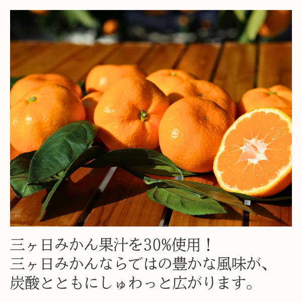 三ヶ日みかんサイダー | 三ヶ日みかんの通販・ギフト購入ならJAみっ