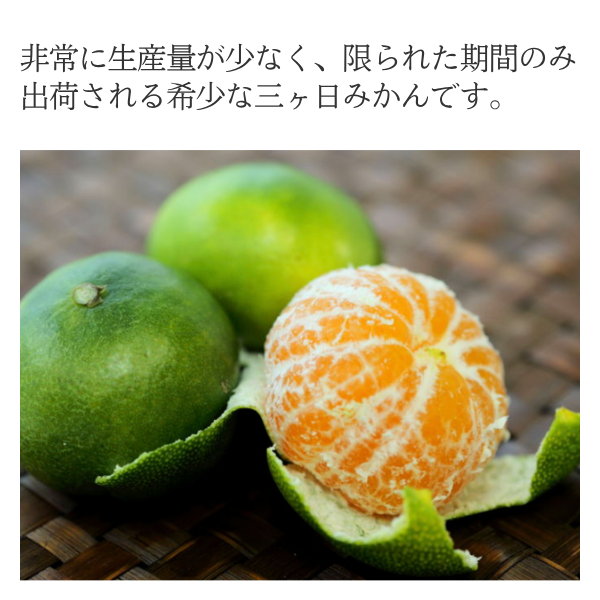グリーンハウスみかん【7/30～8/27頃 発送予定】 | 三ヶ日みかんの通販