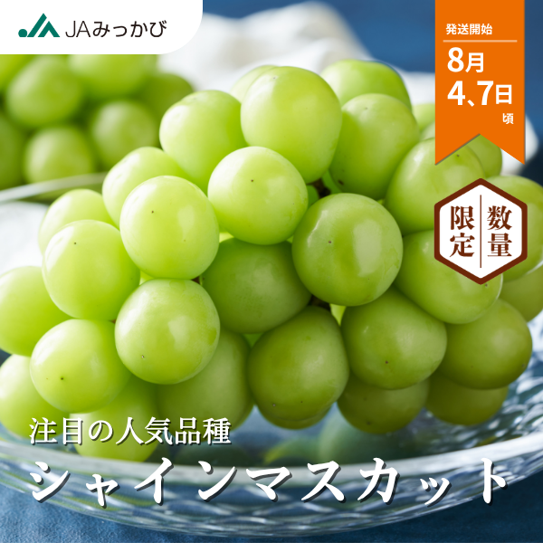 三ヶ日産シャインマスカットの商品画像 1