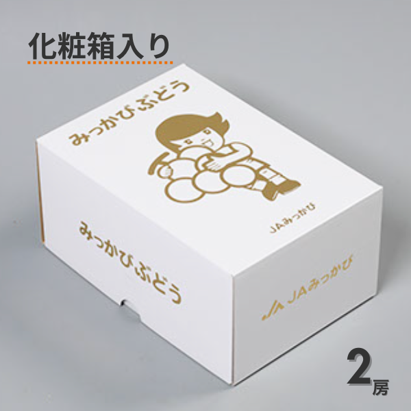 三ヶ日産シャインマスカットの商品画像 6