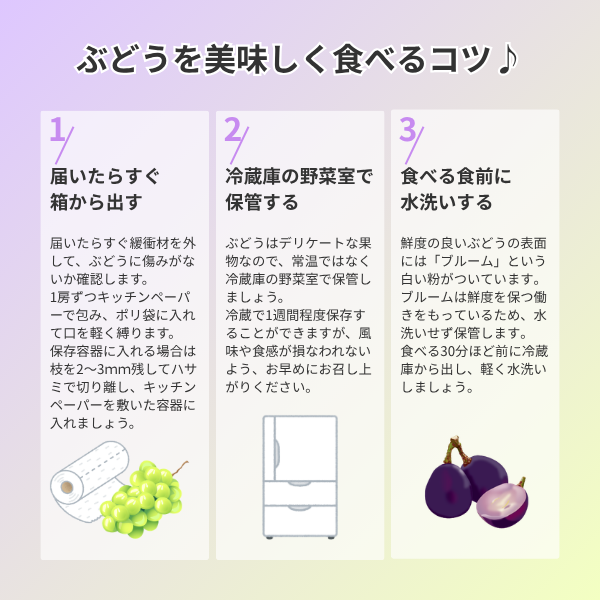 三ヶ日産シャインマスカットの商品画像 8
