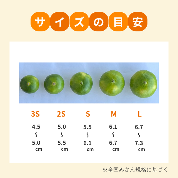 グリーンハウスみかんの商品画像 6