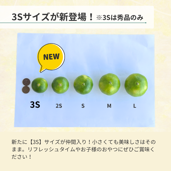 グリーンハウスみかんの商品画像 5