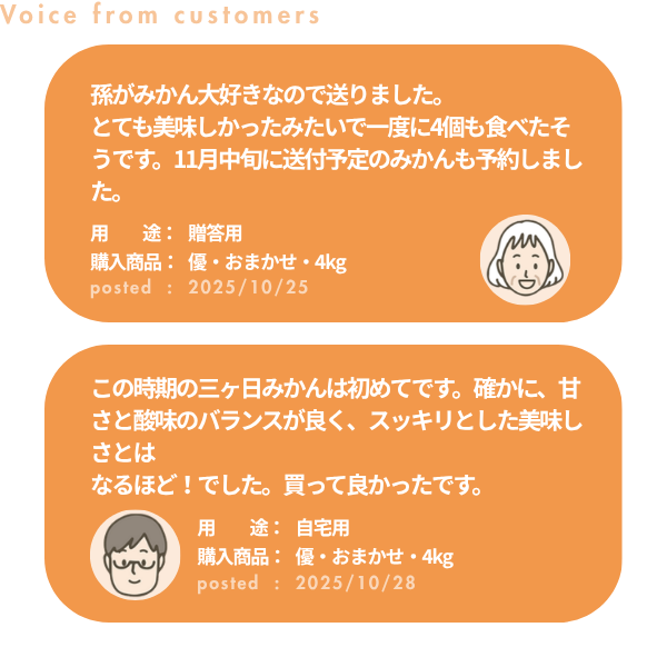 極早生みかん【日南１号】の商品画像 9