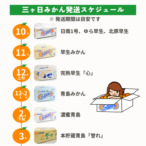 極早生みかん【日南１号】の商品画像 4