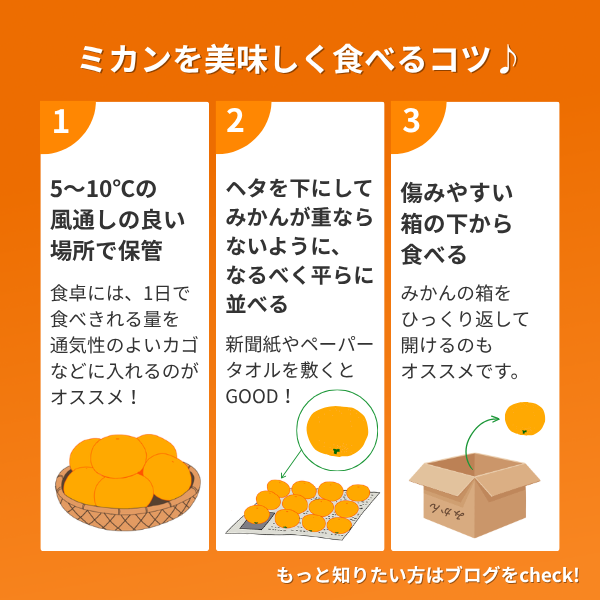 ゆら早生みかん【極早生みかん】の商品画像 15