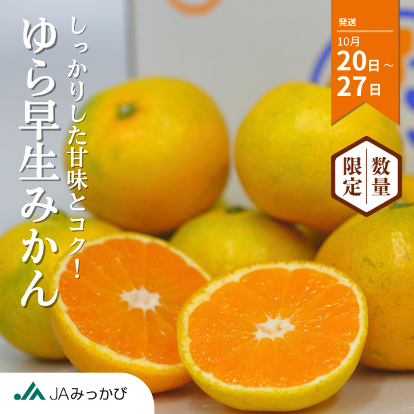 ゆら早生みかん【極早生みかん】