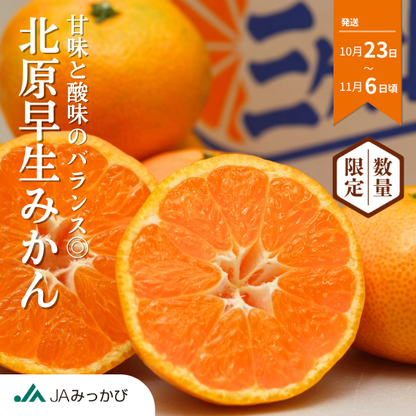 北原早生みかん【極早生みかん】