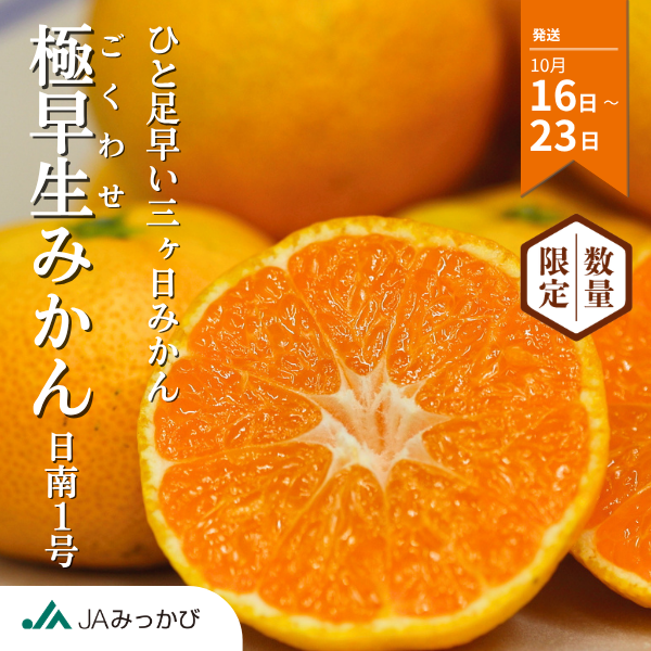 極早生みかん【日南１号】の商品画像 1