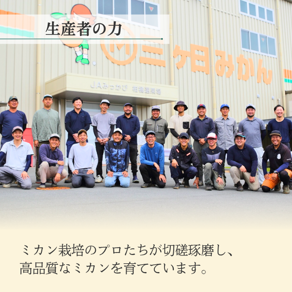 北原早生みかん【極早生みかん】の商品画像 7