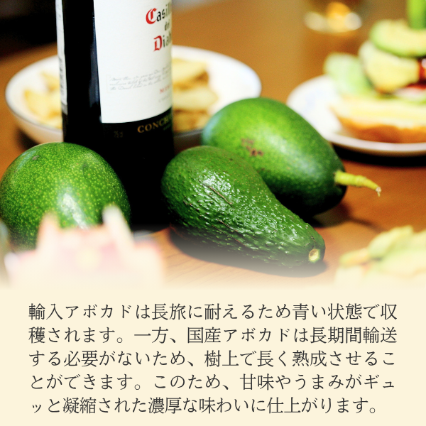 三ヶ日アボカドの商品画像 5