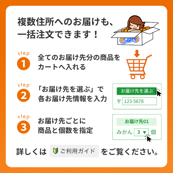 三ヶ日アボカドの商品画像 14