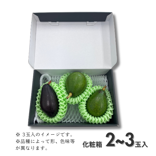 三ヶ日アボカドの商品画像 9