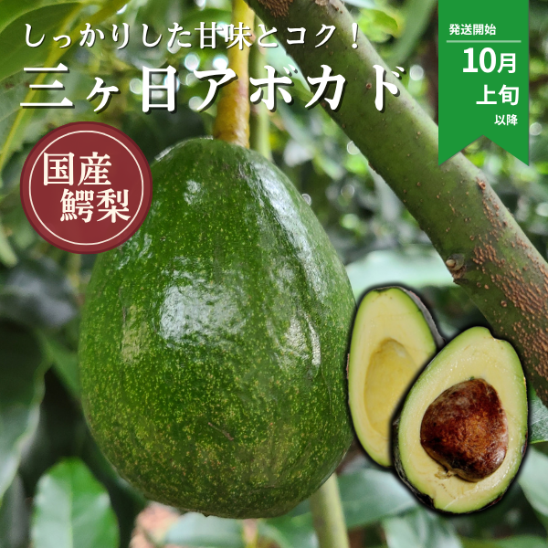 三ヶ日アボカドの商品画像 1