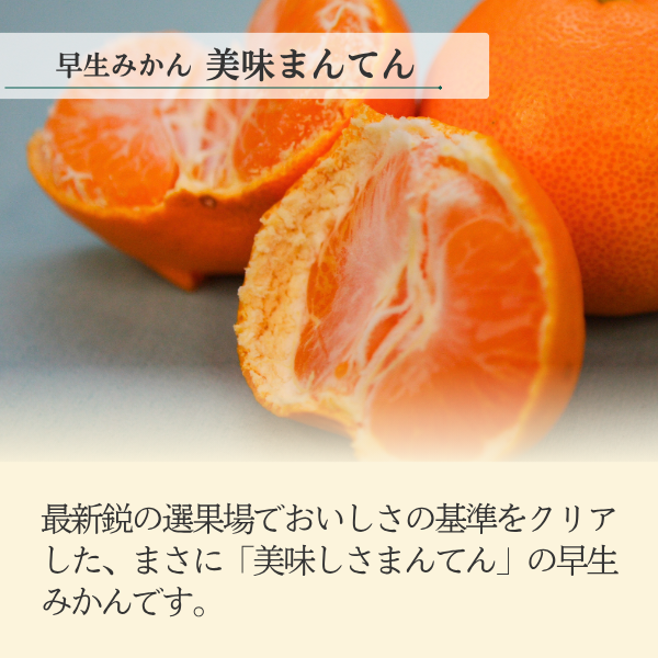 早生みかん 味美人（美味まんてん）8kgの商品画像 3