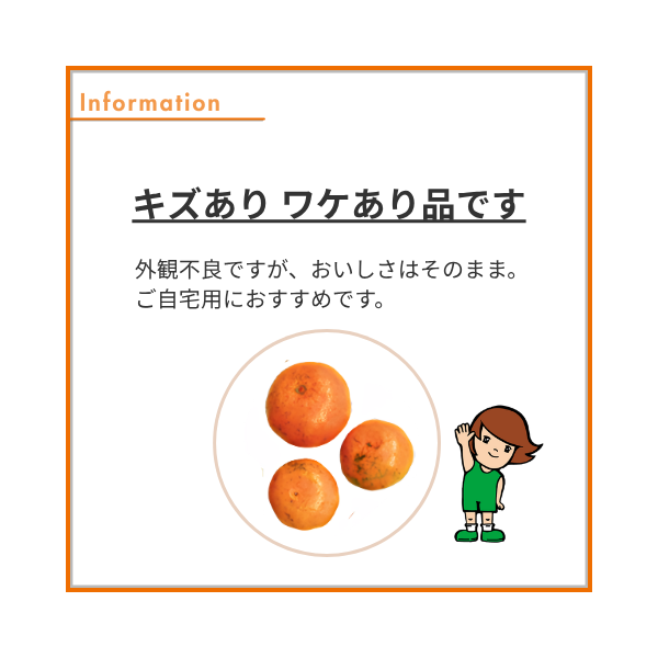 早生みかん 味美人（美味まんてん）8kgの商品画像 6