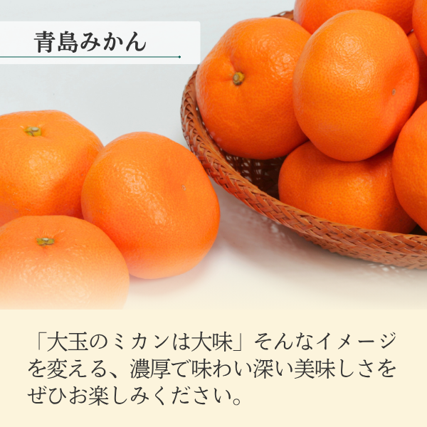 青島みかん【年内発送】の商品画像 4