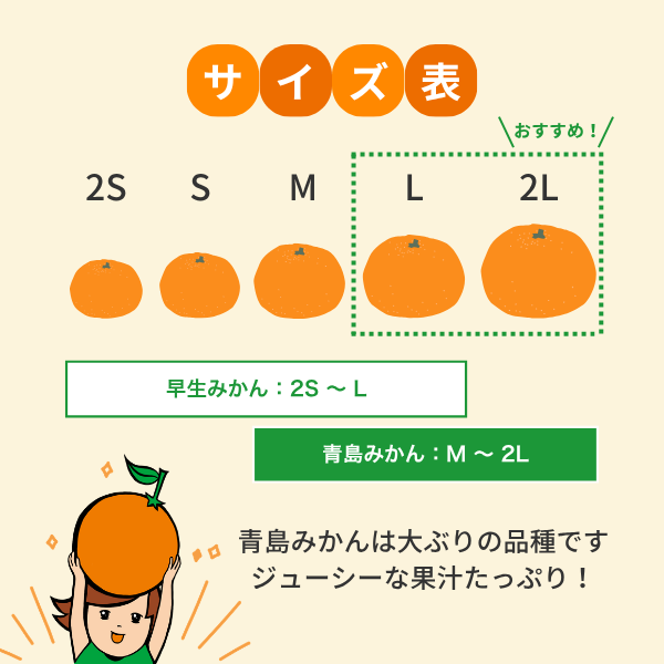 青島みかん【年内発送】 | 三ヶ日みかんの通販・ギフト購入ならJAみっ