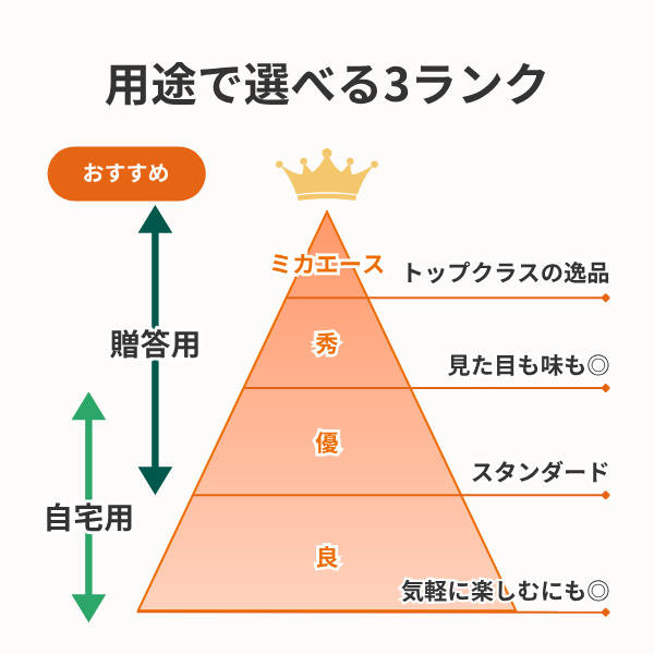 青島みかん【年内発送】の商品画像 6