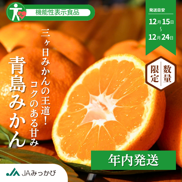 青島みかん【年内発送】 | 三ヶ日みかんの通販・ギフト購入ならJAみっ