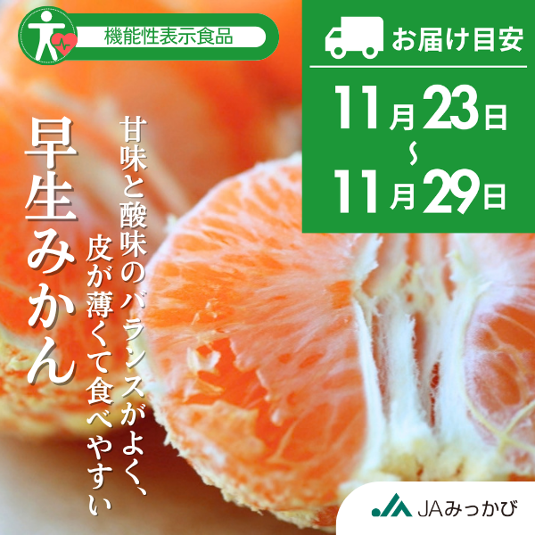 早生みかん 【11/23～11/29着予定】