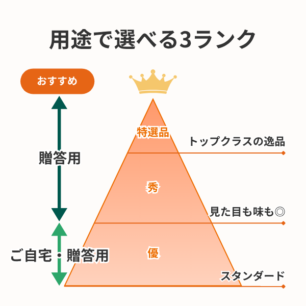 早生みかん 【11/30～12/11着予定】の商品画像 6