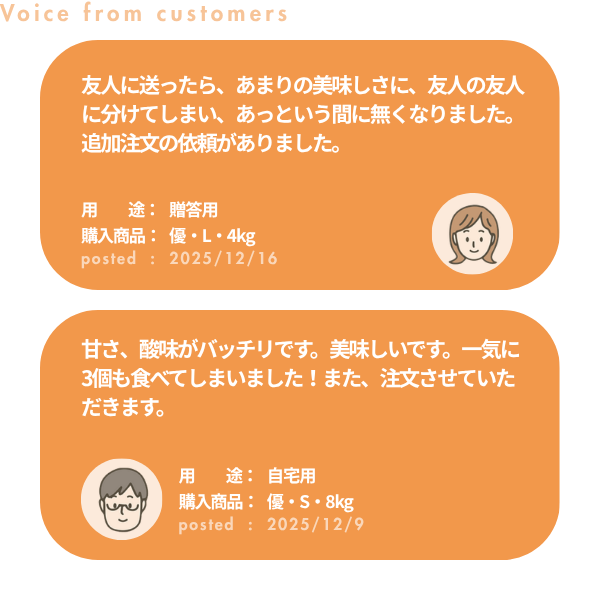 早生みかん 【11/30～12/11着予定】の商品画像 10