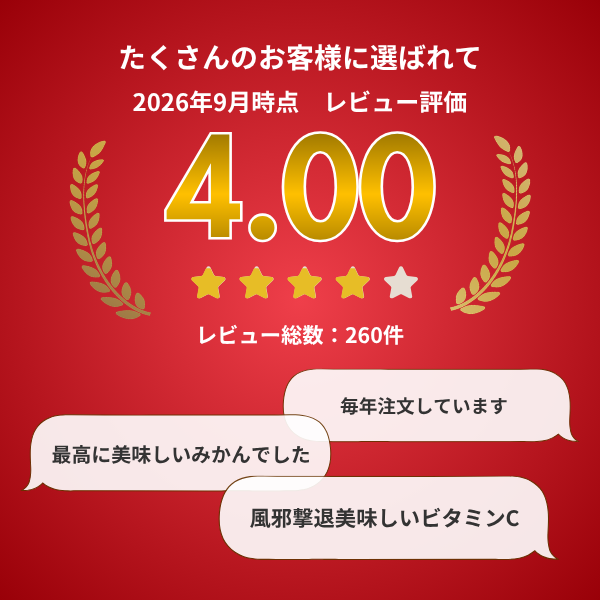 早生みかん 【11/30～12/11着予定】の商品画像 11