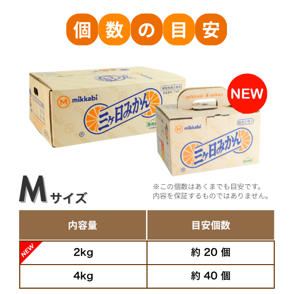 ＼秀の上位ランク／ 早生みかん 特選品 Mサイズ【数量限定】の商品画像 5