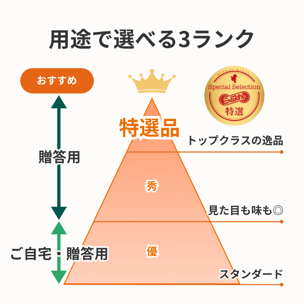 ＼秀の上位ランク／ 早生みかん 特選品 Mサイズ【数量限定】の商品画像 4