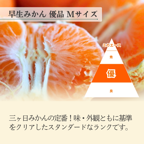 早生みかん食べ比べセット【味美人M×優品M】の商品画像 5