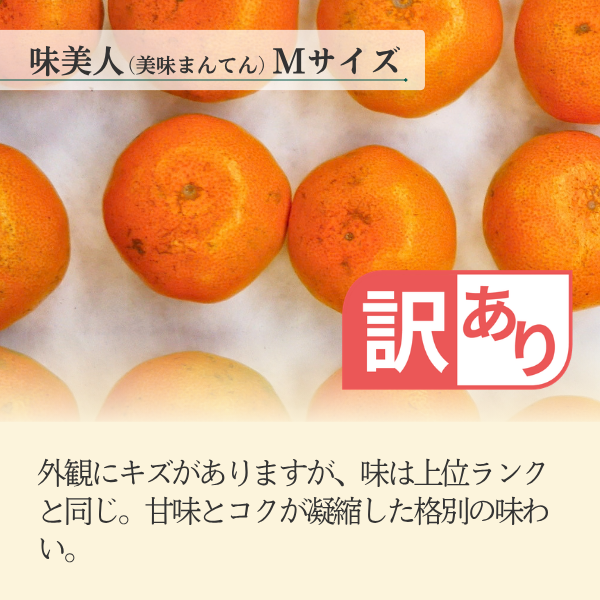 早生みかん食べ比べセット【味美人M×優品M】の商品画像 6