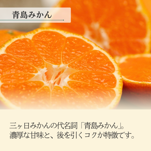 青島みかん食べ比べセット【秀品L×優品M】の商品画像 3
