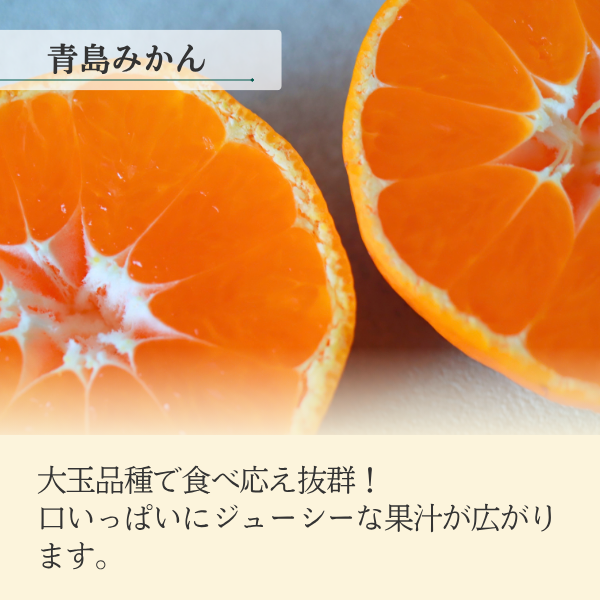 青島みかん食べ比べセット【秀品L×優品M】の商品画像 4