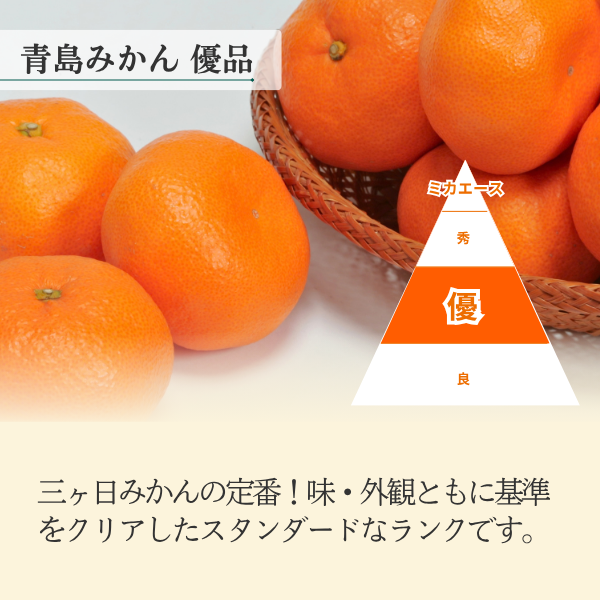 青島みかん食べ比べセット【秀品L×優品M】の商品画像 6