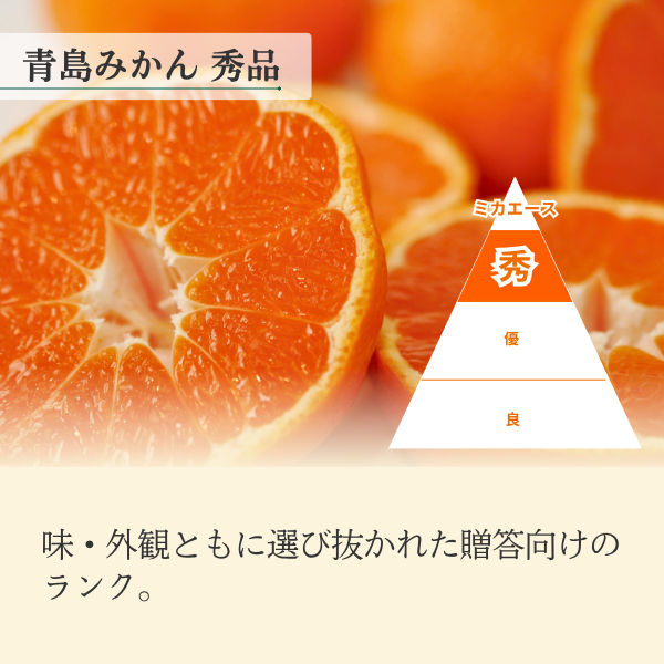 青島みかん食べ比べセット【秀品L×優品M】の商品画像 5