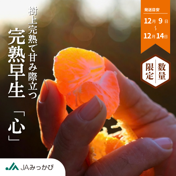 完熟早生「心」 【12/9頃～12/14頃発送】 | 三ヶ日みかんの通販