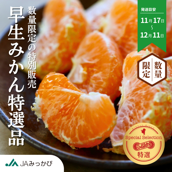 ＼秀の上位ランク／ 早生みかん 特選品 Mサイズ【数量限定】の商品画像 1