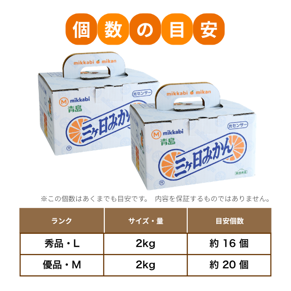 青島みかん食べ比べセット【秀品L×優品M】の商品画像 7
