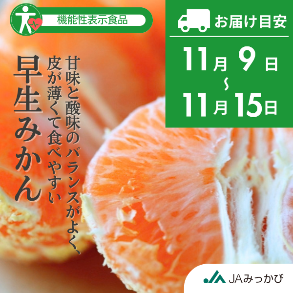 三ヶ日みかんの通販ならJAみっかび公式オンライン直売所【静岡県浜松市
