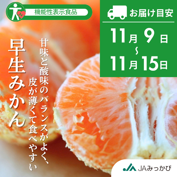 早生みかん【11/9～11/15着予定】